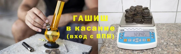 гидра Богданович